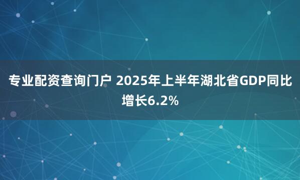 专业配资查询门户 2025年上半年湖北省GDP同比增长6.2%
